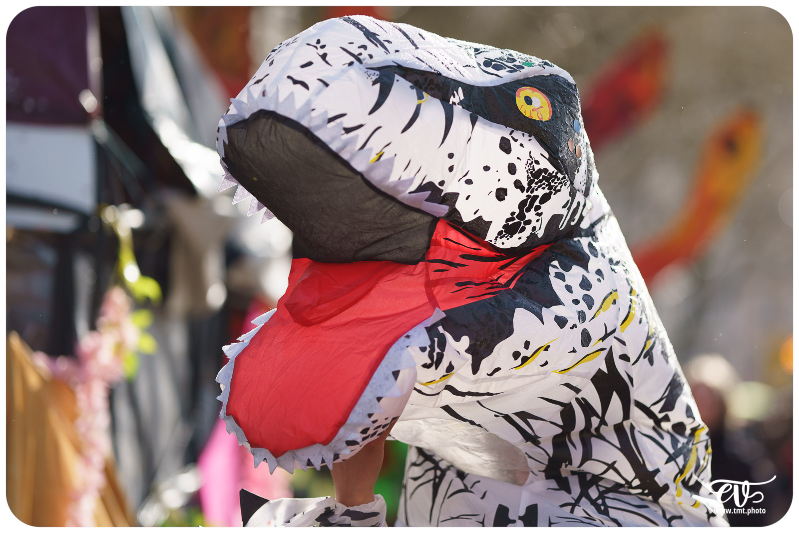 CARNAVAL DE STRASBOURG 2024